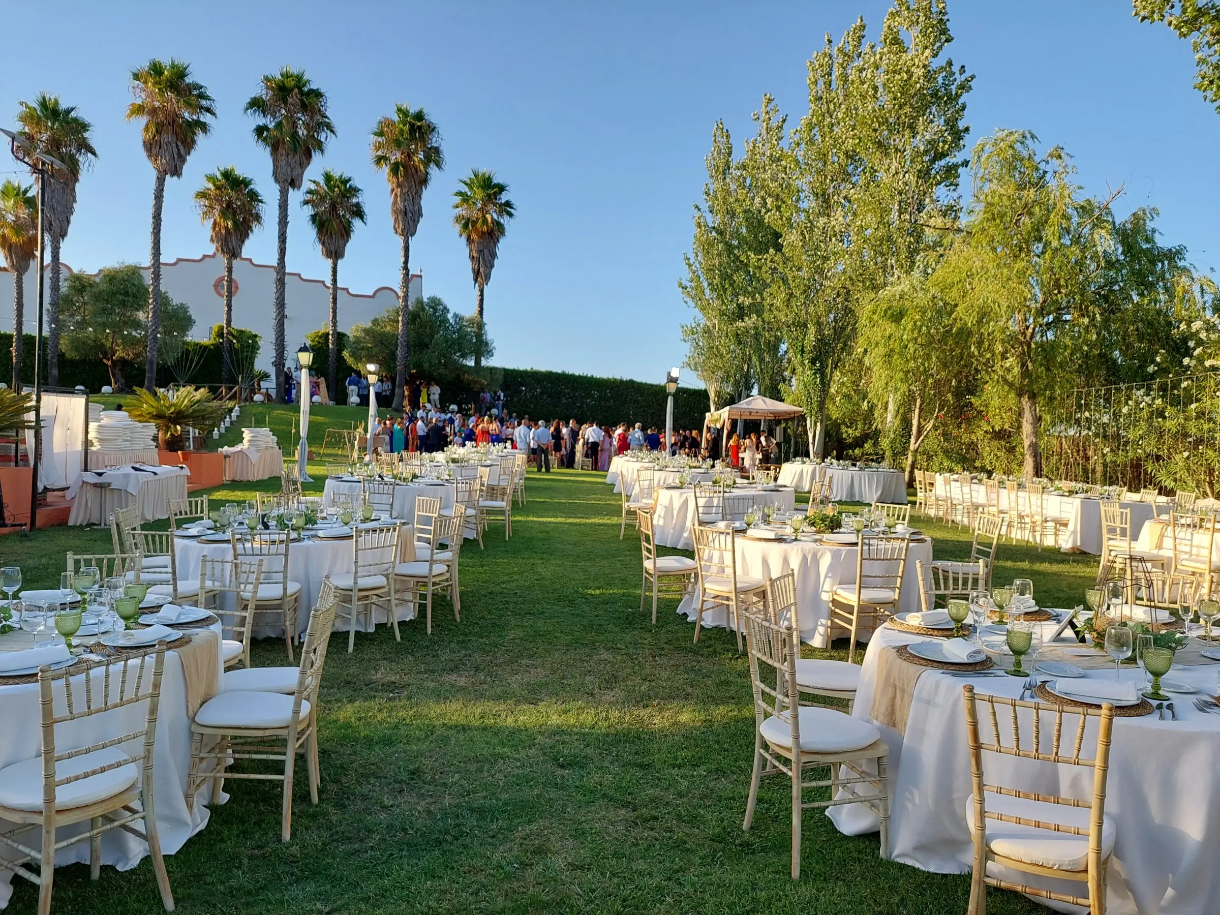 Mesas de banquete en el césped entre palmeras, con la hacienda al fondo