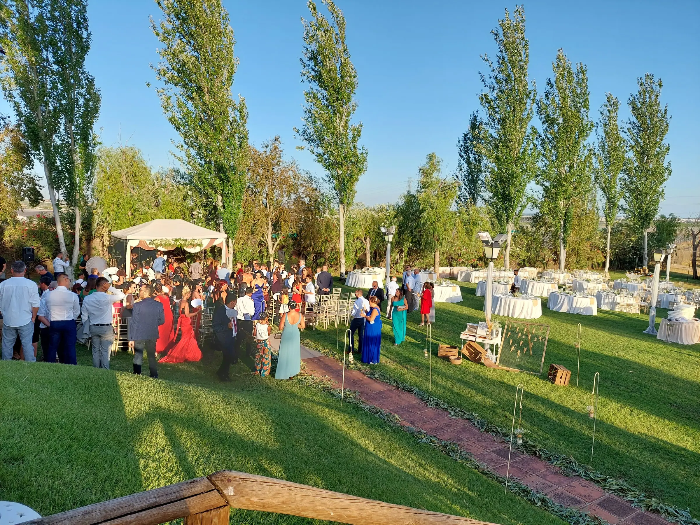 Invitados en el césped con la luz baja de la tarde, entre chopos y mesas vestidas